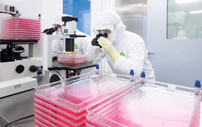 cleanroom ppe