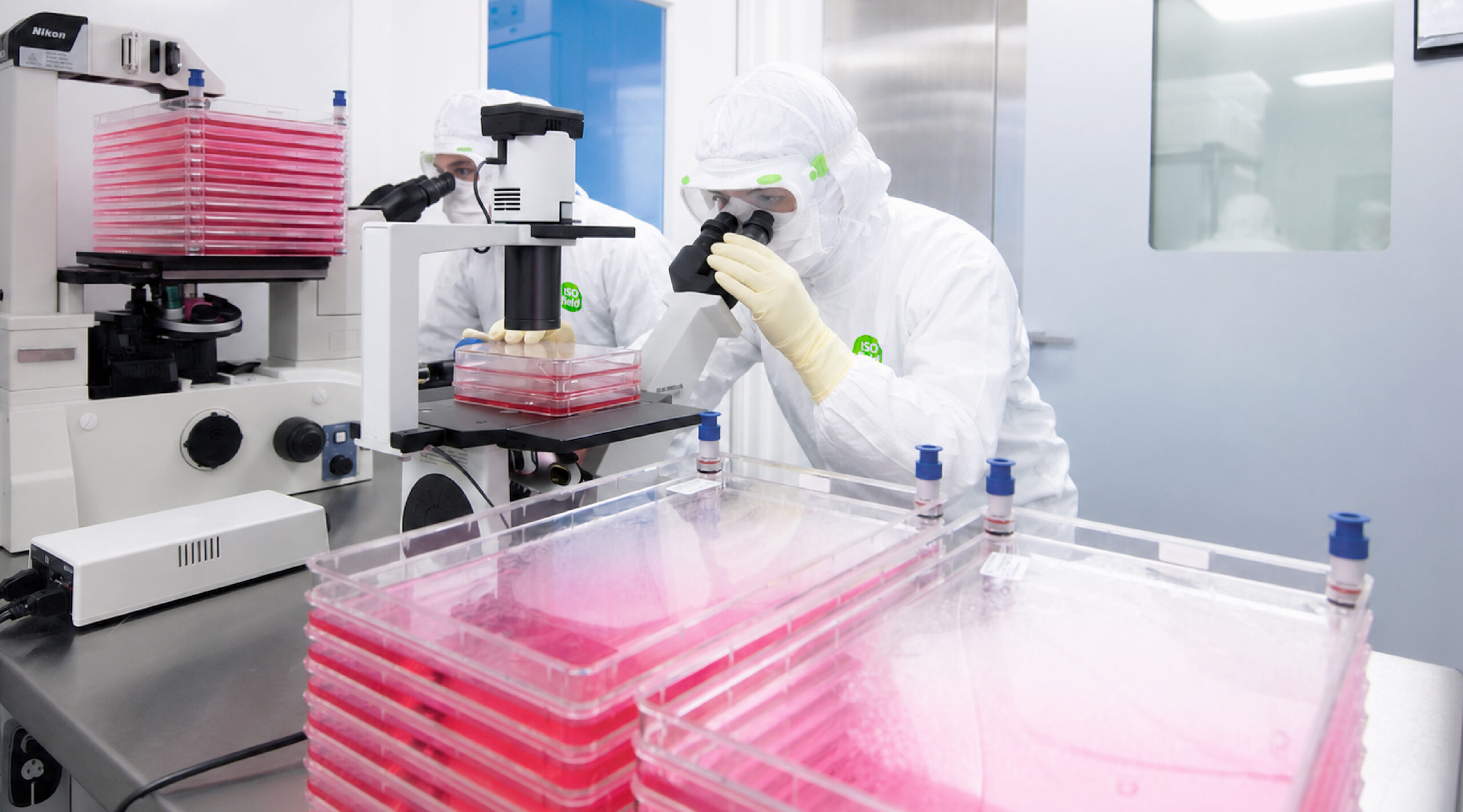 Cell and Gene Therapy Manufacturing 1 scaled
